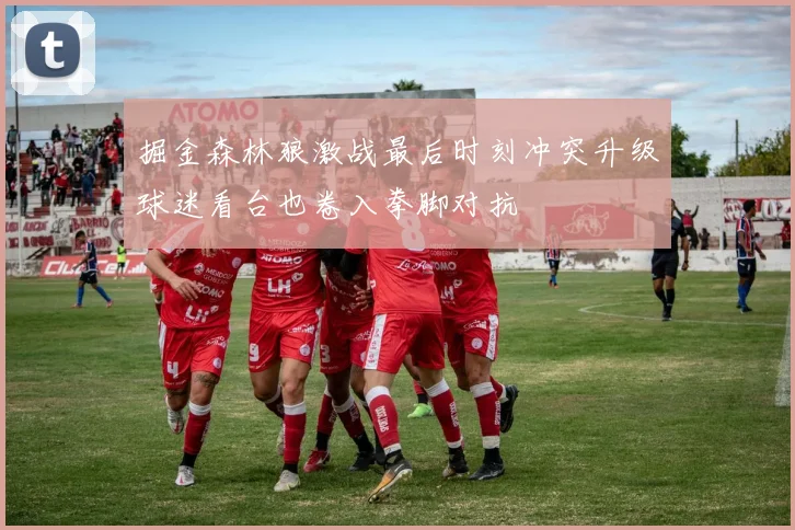 掘金森林狼激战最后时刻冲突升级球迷看台也卷入拳脚对抗